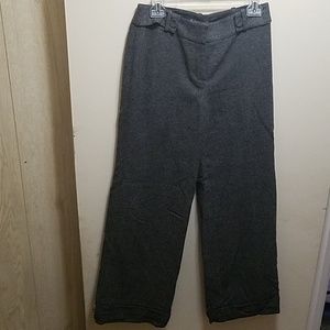 Ann Taylor Business Slacks